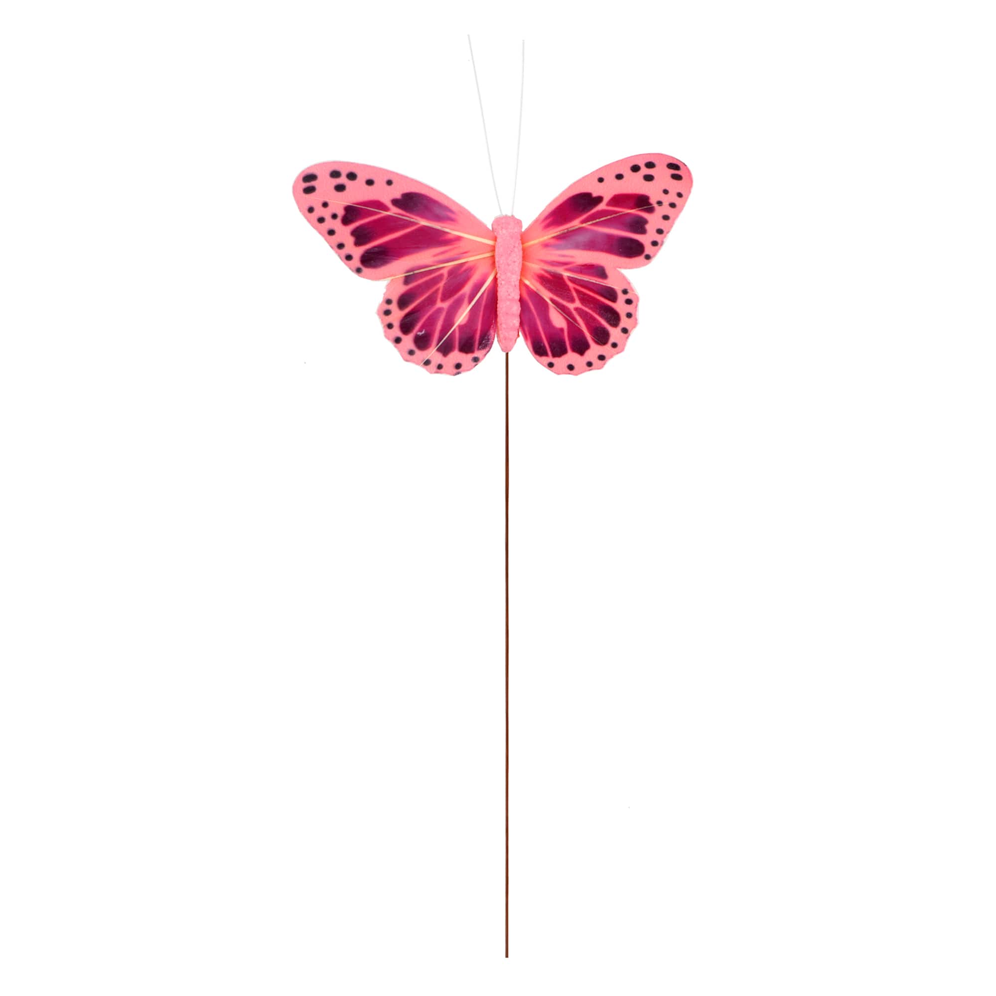 Feather Butterflies